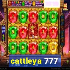 cattleya 777